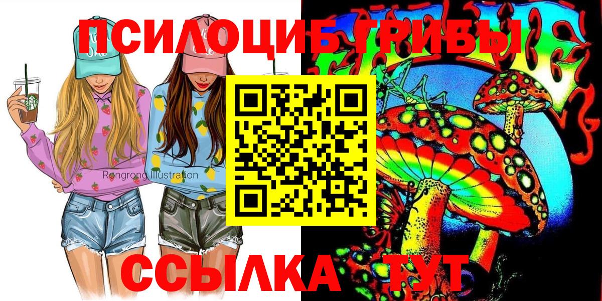 Галлюциногенные грибы Psilocybe Печора
